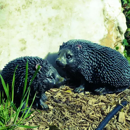 Les Roulottes A Sandie