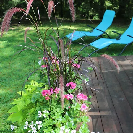 Les Roulottes A Sandie * Τιονβίλ