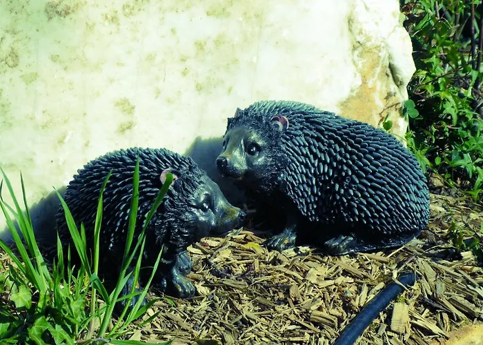 Les Roulottes A Sandie